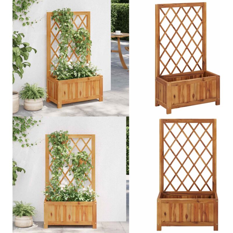 Lit surélevé de jardin avec treillis Bois massif d'acacia - Jardiniere En Bois - Bac Plante - Pot De Fleurs Exterieur - Lit Surélevé Jardin