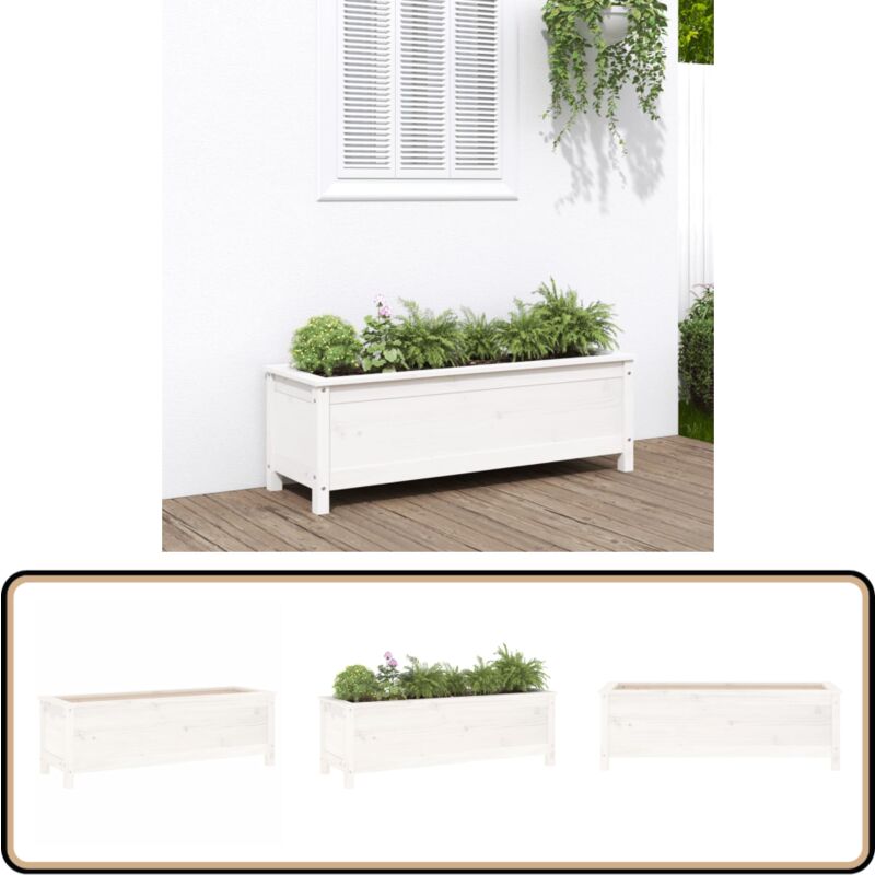 Vidaxl - Lit surélevé de jardin blanc 119,5x40x39 cm bois de pin massif - Jardinière - Bac à Plantation - Pot De Fleurs Extérieur - Déco Jardin