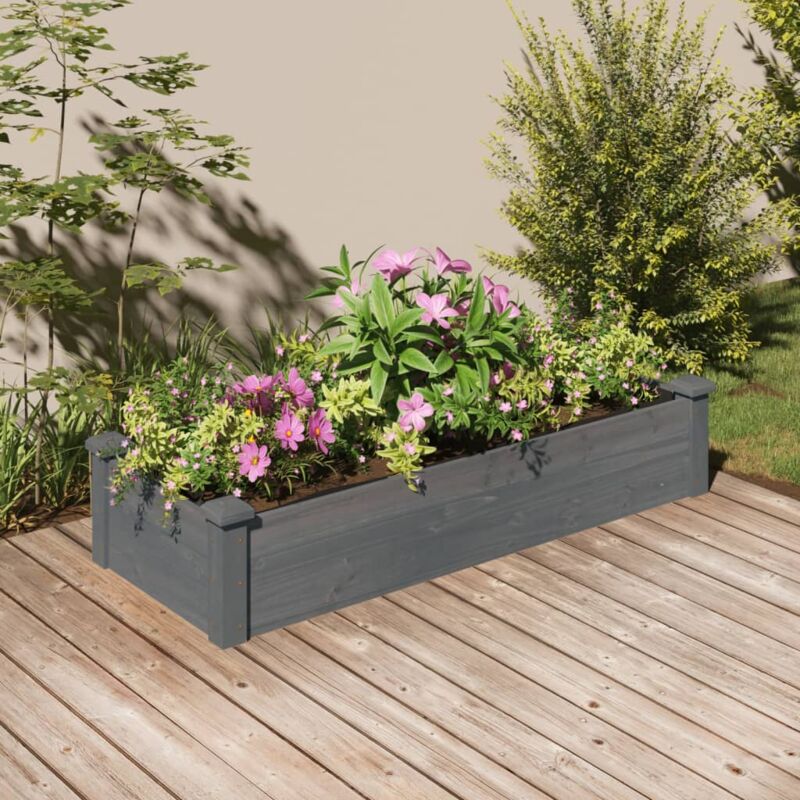 Vidaxl - Lit surélevé de jardin doublure 120x45x25 cm bois massif sapin