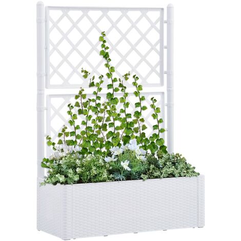 Lit surélevé de jardin et treillis et système d'arrosage Blanc