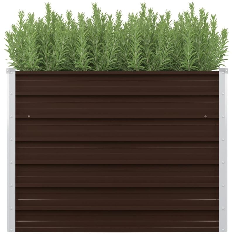 Fimei Lit surélevé de jardin Marron 100x40x77 cm Acier galvanisé