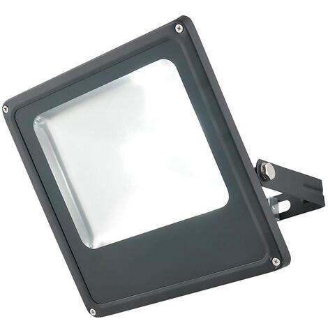 Litecraft Cordelia Floodlight 30W Outdoor IP44 Integrated LED Fitting - Black
