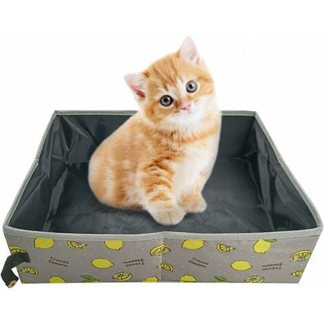 Bac à litière de voyage pour chat, facile à transporter pour voiture, avec