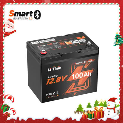 LiTime 12V 100Ah Group 24 Bluetooth LiFePO4 Lithium Batterie mit 100A BMS und Low-Temp-Schutz, Max.15000 Zyklen, 1280Wh, für Wohnmobile, Van, Trailer, Solaranlage und Boote