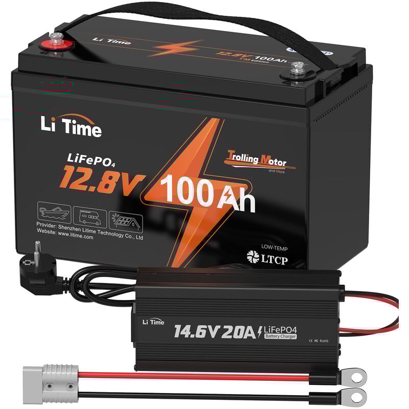 Litime - Batterie au lithium LiFePO4 12V 100Ah tm protection à basse température & 12V 20A Lithium Chargeur de Batterie(Expédition en Deux Colis)