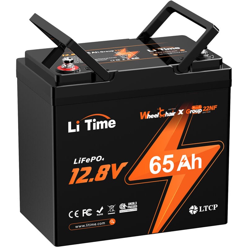 LiTime 12V 65Ah Batterie Lithium LiFePO4 Pour Fauteuil Roulant Électrique, Groupe 22NF, Protection à basse température, pour Scooter, Voiture pour