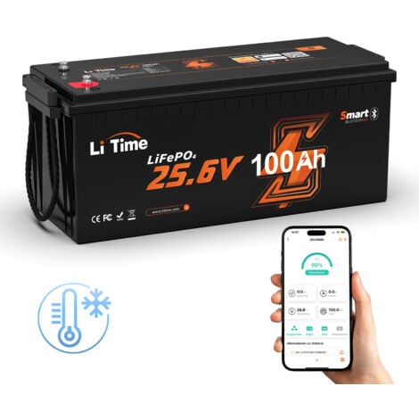 LiTime 24V 100Ah LiFePO4 Lithium Batterie Mit Bluetooth Low Temp Schutz 2560Wh