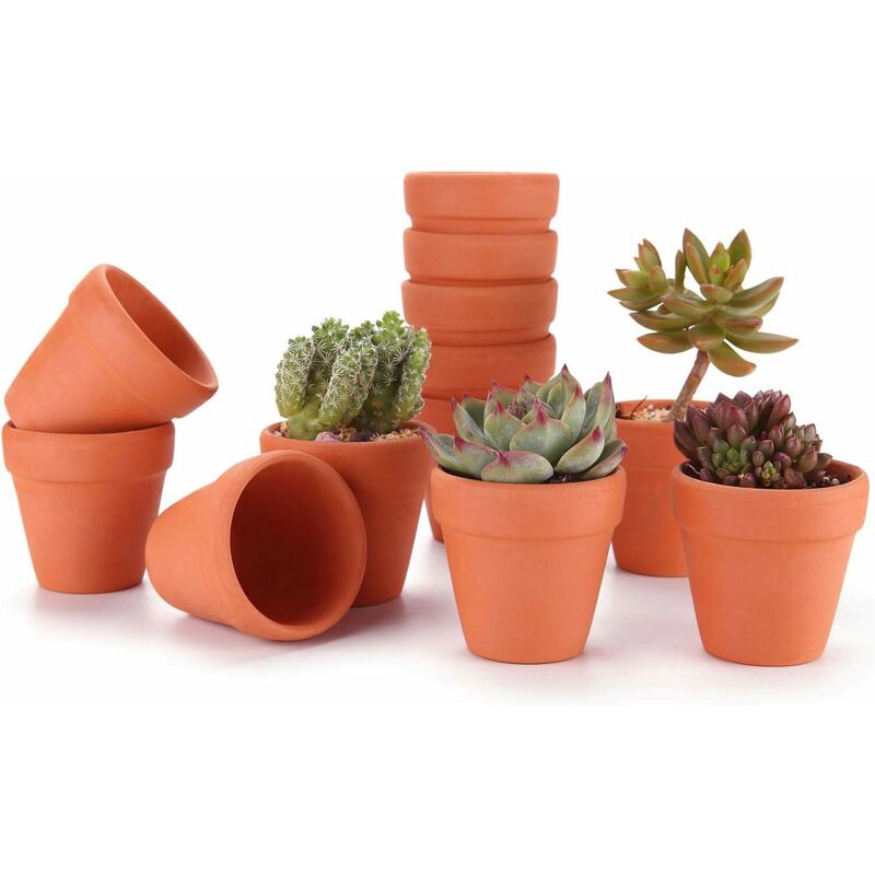 

Litzee - 6,5 CM 12 piezas de suelo suculento maceta para plantas de flores de cactus, maceta de barro de terracota para cactus plantas suculentas