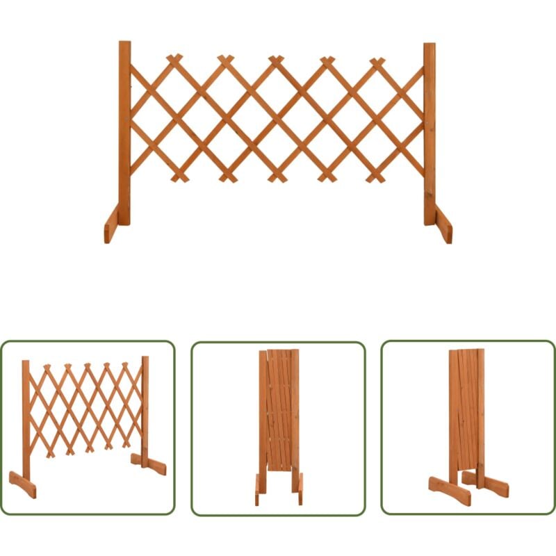 The Living Store Clôture en treillis de jardin Orange 120x60 cm Bois de sapin - Clôture En Bois - Clôture Jardin - Clôture Treillis - Clôture