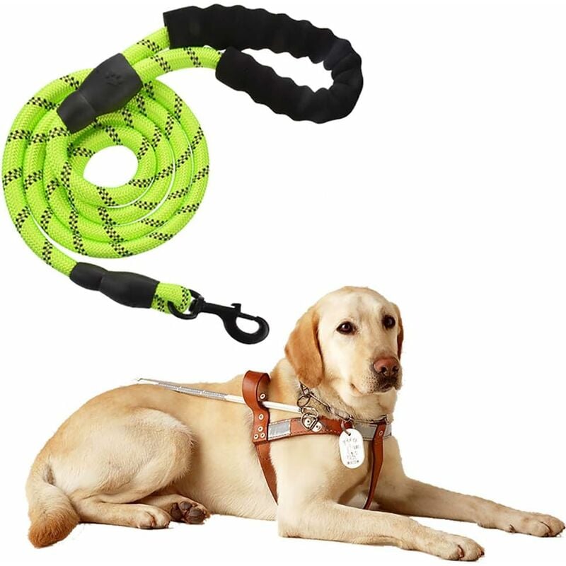 

Correa de nailon ajustable sólida negra reflectante de 150 cm de alta calidad para perros grandes o medianos Adecuado para trotar y caminar (verde)