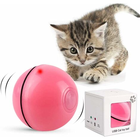 Jouets Chat,24 pièces Jouet pour Chat,Ensemble de Jouets Jouets Chat,24 pièces Jouet pour Chat,Ensemble de Jouets