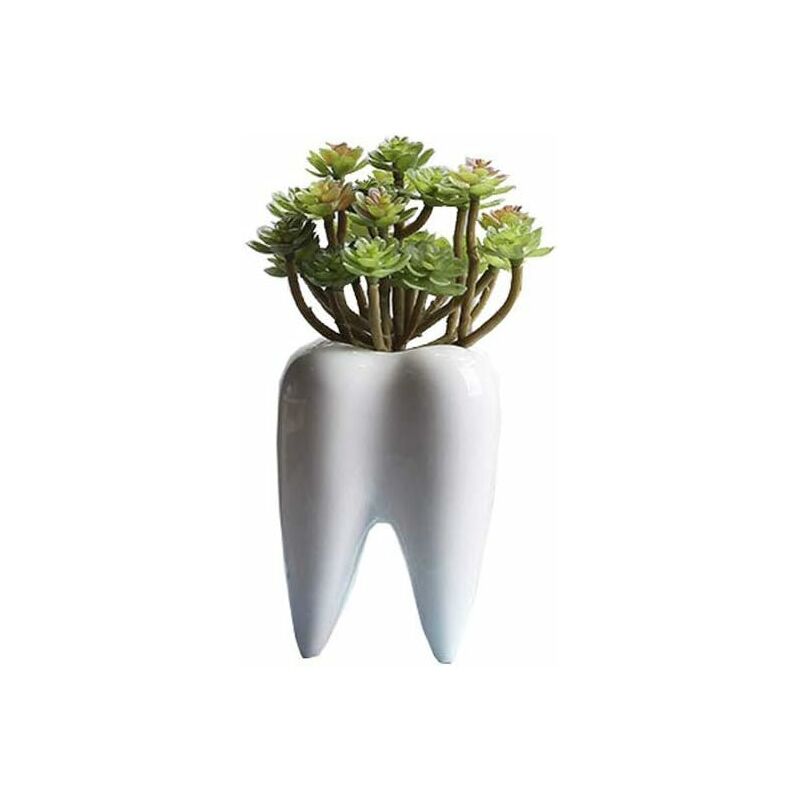 

Litzee - Macetas blancas con dientes bonitos, macetas con dientes suculentos, macetas creativas de cerámica para cactus, mini recipientes para