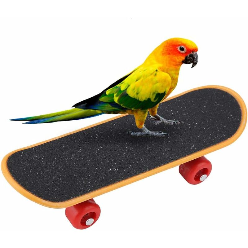 

Parrot Monopatín, Mini monopatín de práctica de 5.5 '', Juguete inteligente para pájaros pequeños y medianos, Periquitos, Cacatúas, Agapornis, Conures