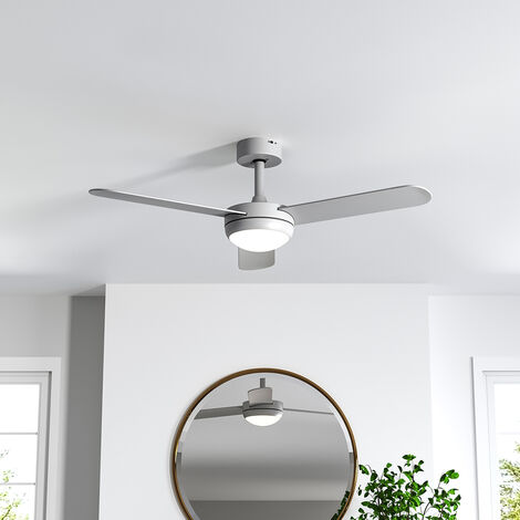 Ceiling Fans