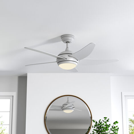 Ceiling fans