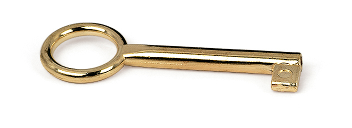 

REI - Llave para Muebles y Armarios | Fabricado en Zamak | Acabado en Latonado - Bicromatado | Medidas 23*6*68 mm | Sistema de Fijación | 1 Unidad