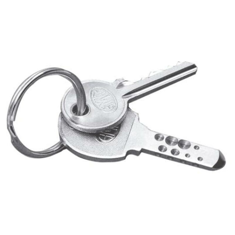

amig llavero anilla 1 de 35 niquel (caja 2 unidades) - Mibricotienda