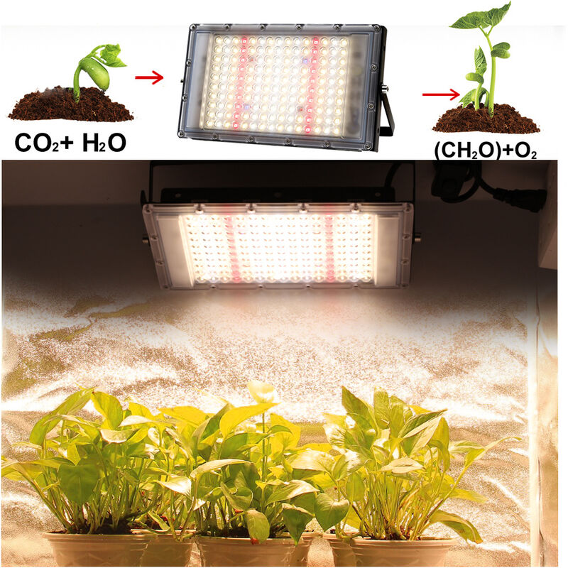 

Lámpara hortícola LED de 100 W, luz de crecimiento de plantas de espectro completo, flores y verduras, plántulas, floración y resultados [Clase