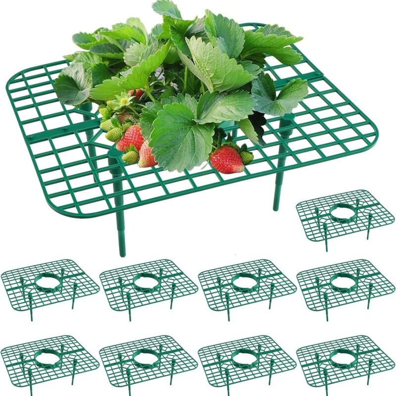 Lntyq - 10 supports pour fraises - Supports pour fraises pour jardin - Support stable pour culture de fraises - Supports pour fraises pour serre,