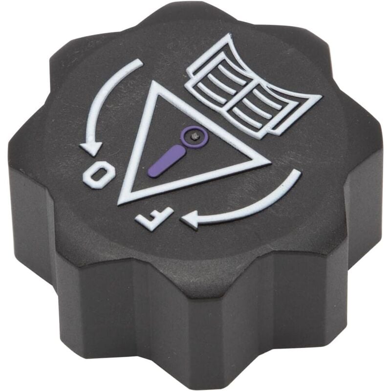 Lntyq 1306.E4 Tapa del tanque de expansión Tapa del depósito de refrigerante 9638001280 9681593380 1306e4 Compatible con 106 107 206 207 307 308 406