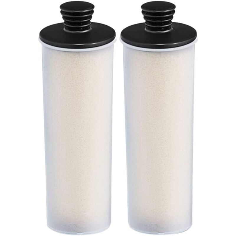 2 PièCes Cartouche de Nettoyeur Vapeur Bâton de DéTartrage pour SC3 Series sc 3 Easyfix/SC3MX/SC3 127V br Filtre de DéTartrage - Lntyq