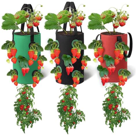 200 étiquettes De Jardinage Blanches 5x1cm - Plastique Durable, Imperméables, Réutilisables - 6