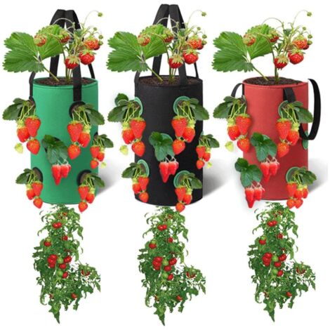 Lntyq 3 sacs de culture pour à suspendre,Sac pour plantes à poser,sacs de avec 12 trous plantation respirants,pour fraises, herbes, fleurs, légume,20cm35cm(Rouge, Noir, Vert)
