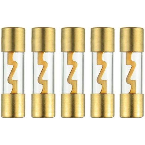 Lntyq 60 A vergoldetes Glas AGU Car Audio Sicherung für Auto/Auto/Marine Audio Stereo Verstärker Stromschutz (Packung mit 5 Stück)