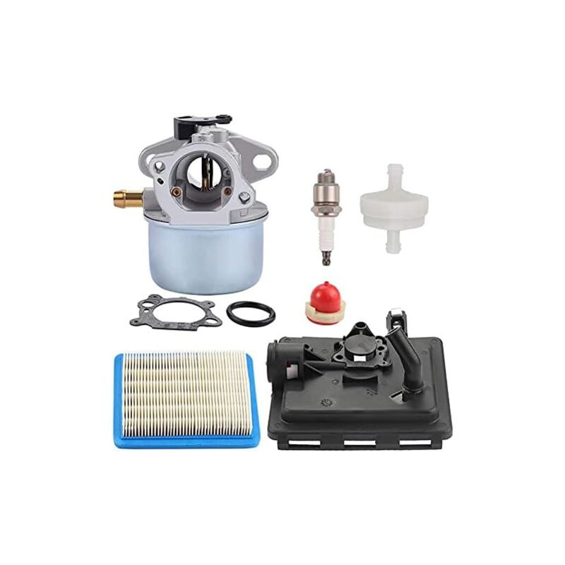 Lntyq - 799868 Carburateur avec base de filtre à air 496116 795259 compatible avec moteurs de carburateur 498170 799872 124T02 124T05