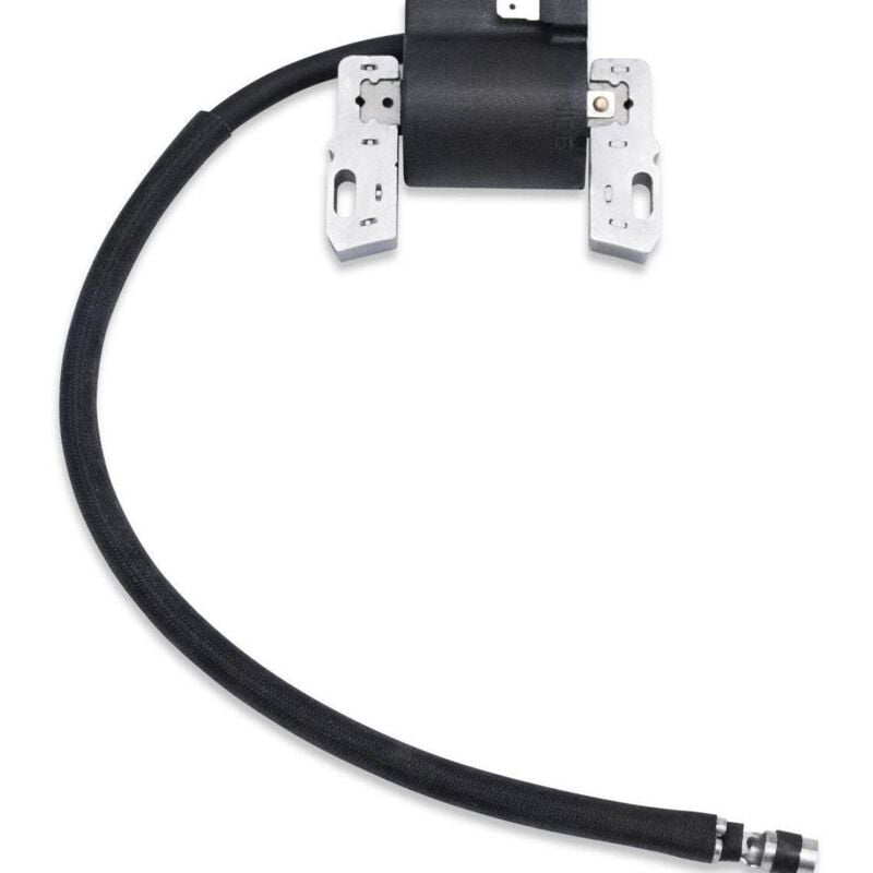Lntyq - Bobine d'allumage haute tension pour Briggs & Stratton 492341 495859 591459 715231 490586 491312 compatible