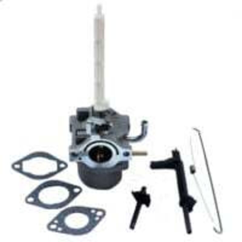 Lntyq - Carburateur pour Briggs & Stratton 796122 794593 20A