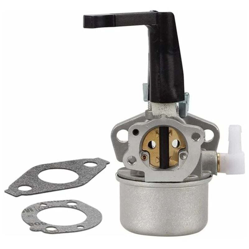 Lntyq - Kit de carburateur pour motoculteur Briggs Stratton 696065 - Pièces de rechange avec joint en métal