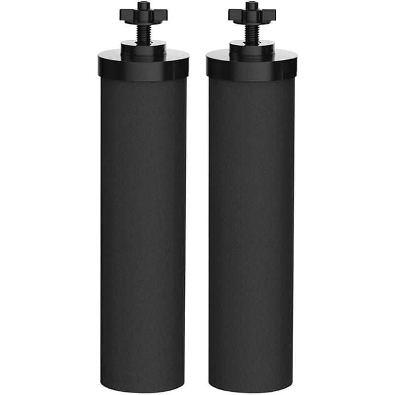 Lot de 2 filtres à eau de rechange, 5,7 x 24,8 cm, filtre à charbon actif, éléments de purification noirs de rechange - Lntyq
