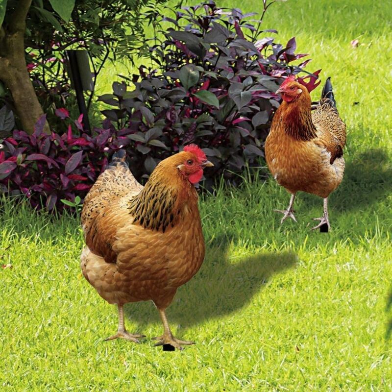 Lntyq - Lot de 2 piquets de jardin en forme de coq de poulet, décoration réaliste en acrylique pour maison, terrasse, pelouse, extérieur