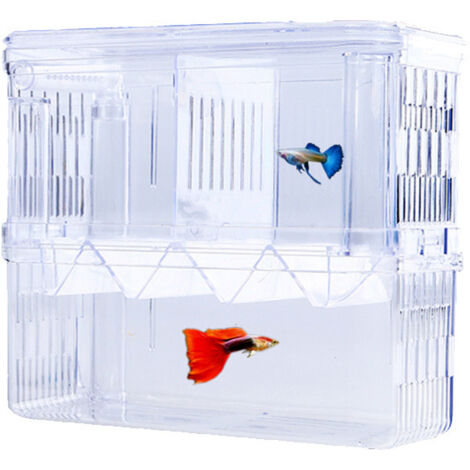 Lntyq PCS Aquarium Baby Nistplatz Aquarium Mini Aquarium Aquarium Zuchtbox Aquarium Isolationsbox mit Isolierfach