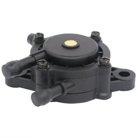 Lntyq Pompe à carburant pour 17HP-25HP 491922 691034 692313 808492 808656