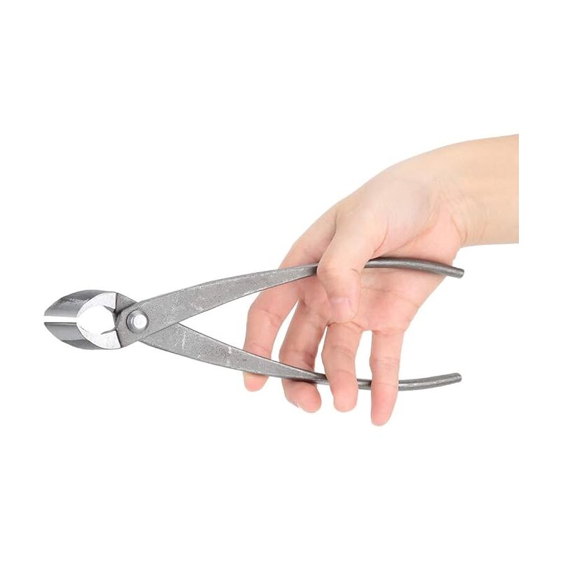 Lntyq Sécateur Multifonctionnel Sécateur Bonsaï Ciseaux De Branche De Bonsaï De Jardin Ciseaux Ronds Professionnels Ciseaux De Bonsaï De Jardin