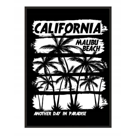 LOCANDINA INCORNICIATA 53x73 cm California P2003