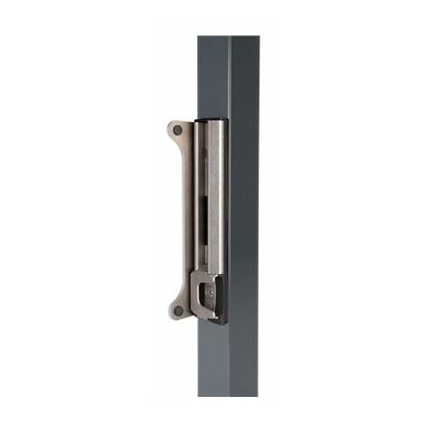 Locinox – Gâche de sécurité inoxydable pour portail – Compatible avec serrure Fortylock – Système d'ancrage breveté en acier inoxydable – Réglable 40-60mm