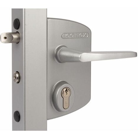 Locinox – Serrure à clé pour portail industriel – Poteau carré 100 à 120mm – Mécanisme en acier inoxydable – Entraxe 60mm – Couleur gris