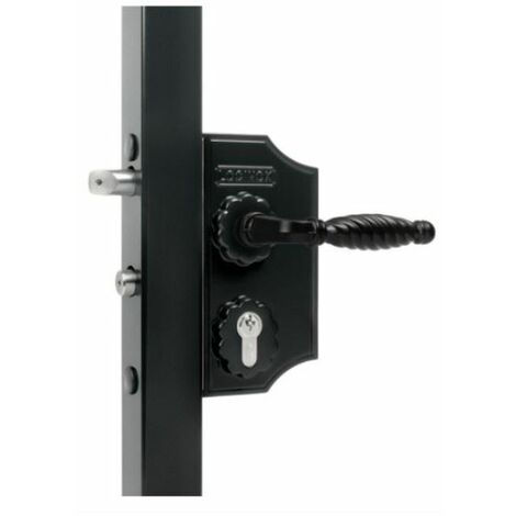 Locinox – Serrure électrique fer forgé pour profils carrés 40-50mm – Coffre 160x80mm – Poignée zamak 3006FA – Pêne de nuit verrouillable