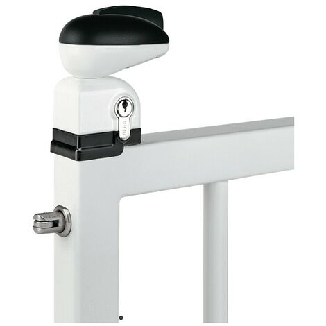Locinox – Serrure de portail de piscine TWIST40 – Sécurité enfant – Acier inoxydable – Coffre polyamide et aluminium – Pour profil 40mm – Coloris blanc