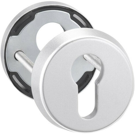 Lock 6533.pz.rh12.inox hasta TS-88 mm