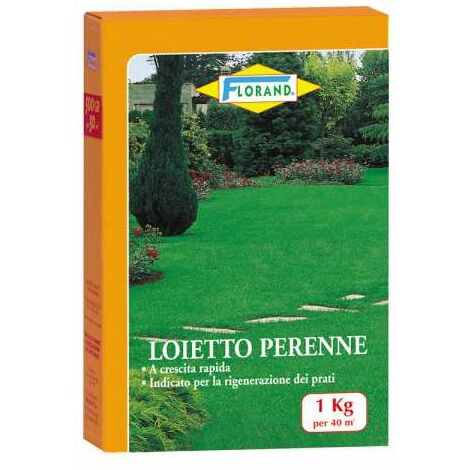 Loietto semenza per prato 1000 g