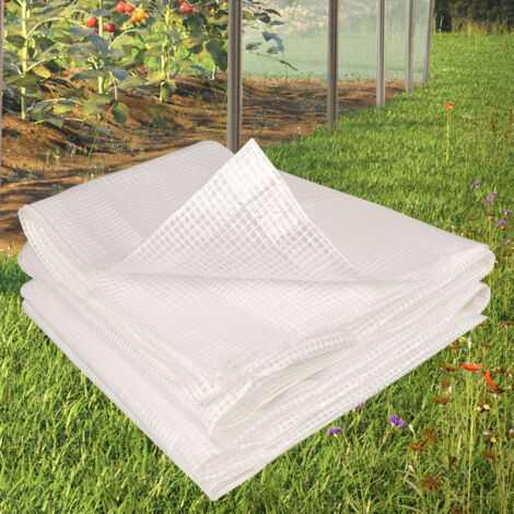Lona transparente reforzada 5x8 m
