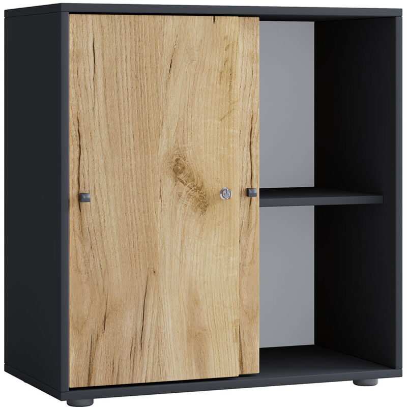Ebuy24 - LonaLST armoire de bureau 2 portes anthracite, chêne décor.