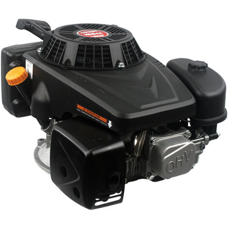 Loncin 1P70F-3 - Motore OHV 196 cm³, potenza 4,2 kW/5,4 HP, albero verticale cilindrico 22,2 x 60 mm