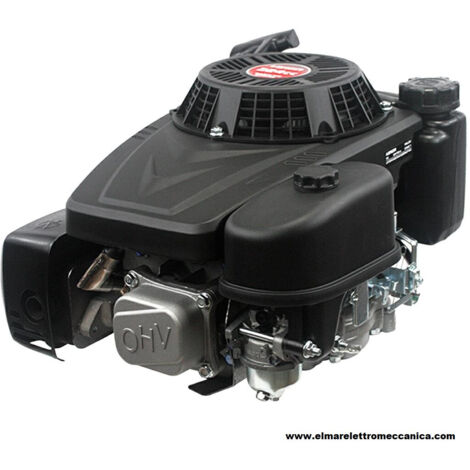 LONCIN 7 HP Albero 25 x 80 224 cc Motore 4 tempi VOLANO PESANTE 1P75F