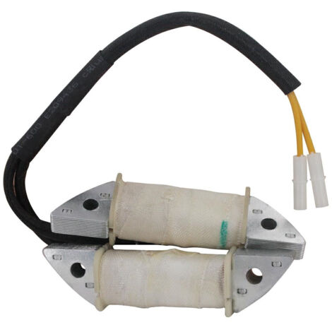 LONCIN Bobina elettronica Alternatore 1P85F