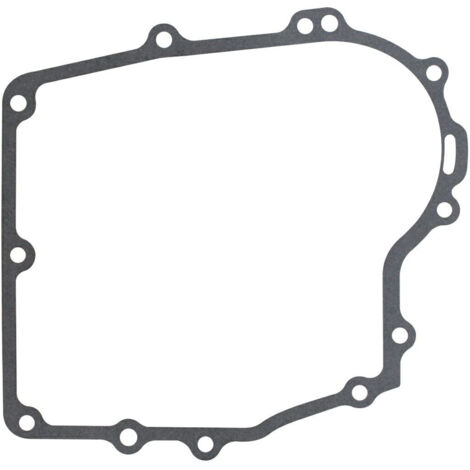 LONCIN Guarnizione flangia 1P91F, 1P96F 560318